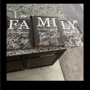 Set of Three Lions Canvas Wall Art